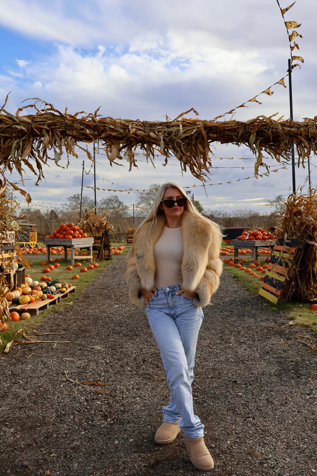 Straight Rows Collar Coat - Image 6